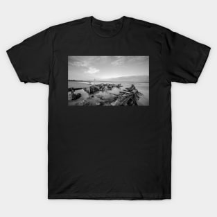 Rock pool on the North Norfolk coast T-Shirt